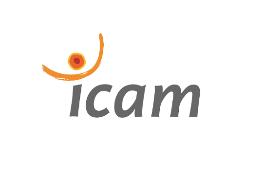 Icam logo